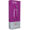 Нож-брелок Victorinox Classic SD Tasty Grape 0.6223.52G